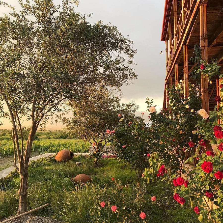 Elizbar Talakvadze Winery Villa Kardanakhi Екстериор снимка