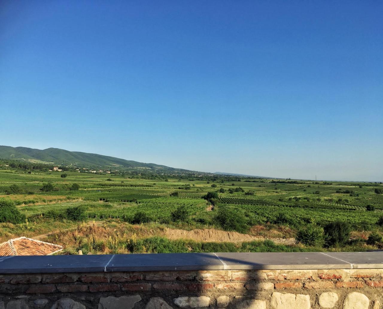 Elizbar Talakvadze Winery Villa Kardanakhi Екстериор снимка